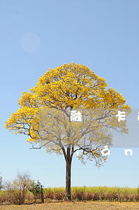 融資卡逾期怎么還(融資卡逾期怎么還錢(qián))