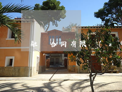 融資合同：有限責(zé)任公司出資合同