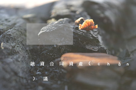 融資合同：資產(chǎn)置換協(xié)議