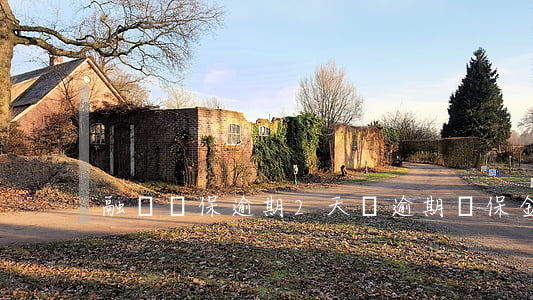 融資擔保逾期2天會 逾期擔保金額
