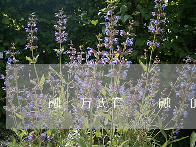 融資方式有幾種(融資的方法)