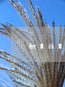 融資租賃合同糾紛如何處理
