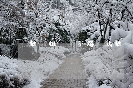 融資租賃還不起貸款(融資租賃還不起貸款)