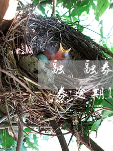 融資融券逾期112個月什么意思-融資融券逾期112個月什么意思啊