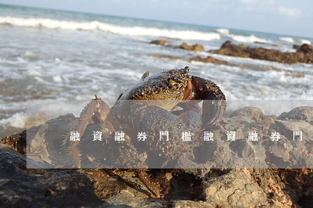 融資融券門檻(融資融券門檻)
