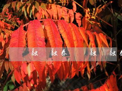 融資融券門檻(融資融券門檻最低的券商)