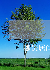 融资居间服务合同