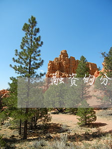 融资的分类有哪些