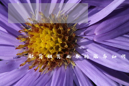 融资租赁业务的账务如何核算