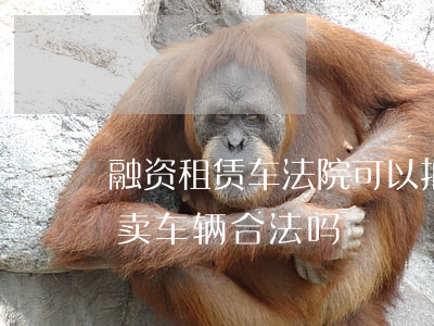融资租赁车法院可以拍卖吗(金融公司处置拍卖车辆合法吗)