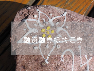 融资融券标的证券