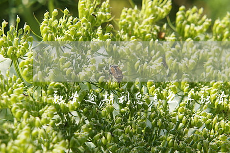 融资逾期利息怎么算(融资逾期利息怎么算的)