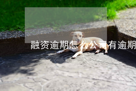 融资逾期怎么 公司有逾期还能融资吗