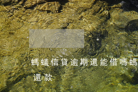 螞蟻信貸逾期還能借嗎(螞蟻信用逾期了怎么還款)