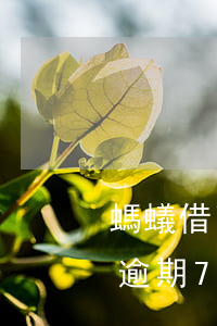 螞蟻借了7千逾期怎么辦，如何處理螞蟻借唄逾期7000元的情況？