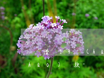 螞蟻借唄19號(hào)借的每月幾號(hào)還款-螞蟻借唄19號(hào)借的每月幾號(hào)還款啊