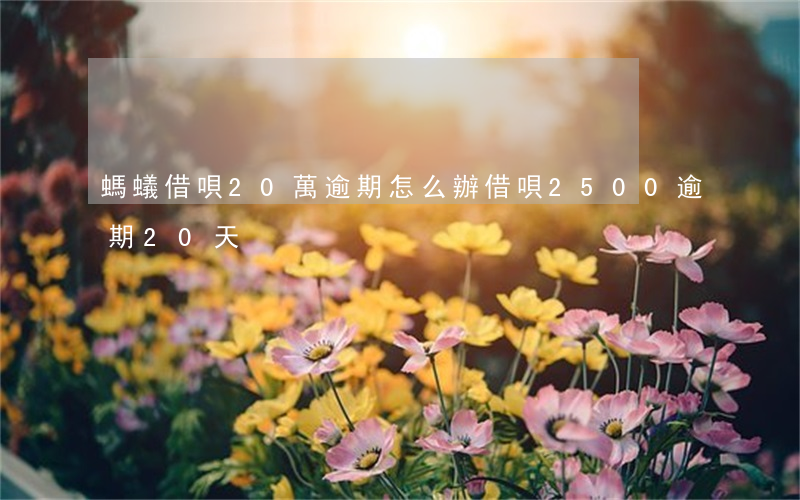 螞蟻借唄20萬逾期怎么辦(借唄2500逾期20天)