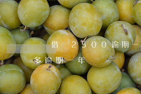 螞蟻借唄2500逾期一年(支付寶借唄一萬多逾期一年)
