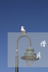 螞蟻借唄30萬逾期兩年(借唄12萬逾期三個月)