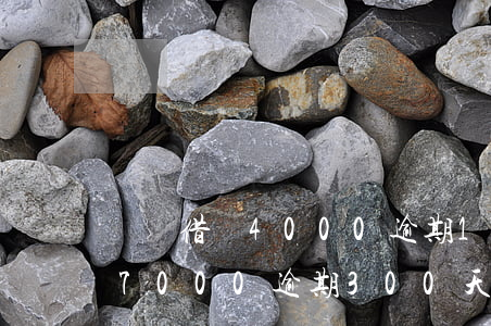螞蟻借唄4000逾期100天-螞蟻借唄7000逾期300天