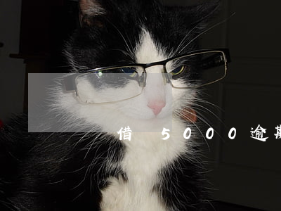 螞蟻借唄5000逾期一年