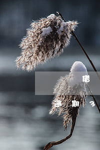 螞蟻借唄500逾期多少(螞蟻借唄5000逾期3個月了)