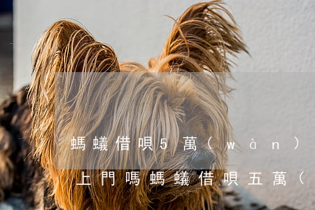 螞蟻借唄5萬(wàn)逾期會(huì)上門嗎(螞蟻借唄五萬(wàn)逾期費(fèi))