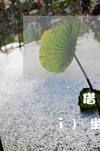 螞蟻借唄5萬逾期會(huì)不會(huì)坐牢(借唄逾期5萬一年起訴嗎)