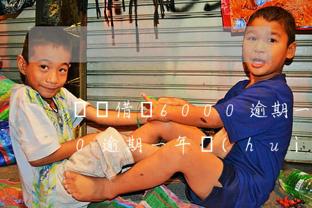 螞蟻借唄6000逾期一年(螞蟻借唄6000逾期一年會(huì)有工作人員上門調(diào)查嗎)