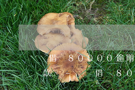 螞蟻借唄80000逾期能協(xié)商還款嗎-螞蟻借唄80000逾期能協(xié)商還款嗎