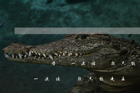 螞蟻借唄一次性還款只能是五筆-螞蟻借唄一次性還款只能是五筆嗎