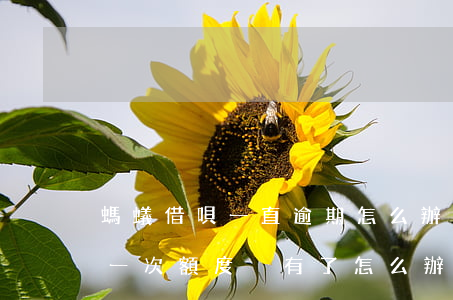 螞蟻借唄一直逾期怎么辦(借唄不小心逾期了一次,額度沒有了怎么辦)