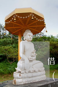 螞蟻借唄上借款被凍結(jié)（支付寶被凍結(jié)借唄逾期）