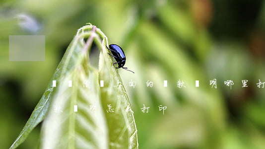 螞蟻借唄上面的還款證明哪里打印-借唄還款證明怎么打印
