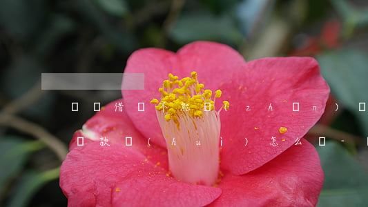 螞蟻借唄不能準(zhǔn)時(shí)還款會(huì)怎么樣-螞蟻借唄不能準(zhǔn)時(shí)還款會(huì)怎么樣嗎