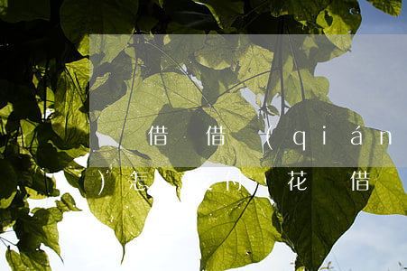 螞蟻借唄借錢(qián)逾期會(huì)怎樣(支付寶花唄借唄逾期了會(huì)怎么樣嗎)