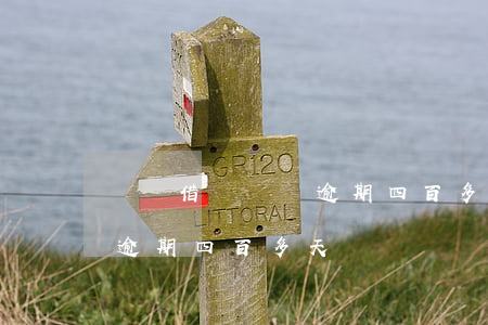 螞蟻借唄兩萬逾期四百多天(支付寶借唄一萬逾期四百多天)