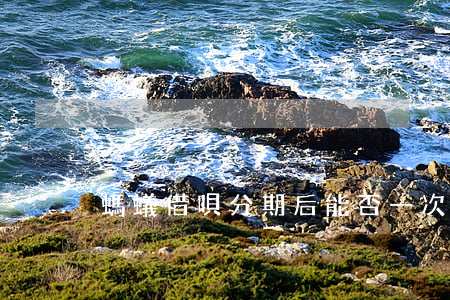 螞蟻借唄分期后能否一次性還款-