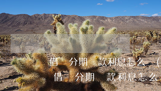 螞蟻借唄分期還款利息怎么計(jì)算-螞蟻借唄分期還款利息怎么計(jì)算的