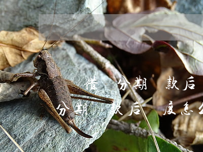 螞蟻借唄分期還款后額度怎么辦-螞蟻借唄分期還款后額度怎么辦呢