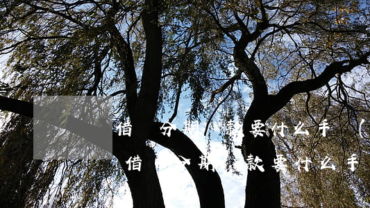 螞蟻借唄分期還款要什么手續(xù)費-螞蟻借唄分期還款要什么手續(xù)費呢