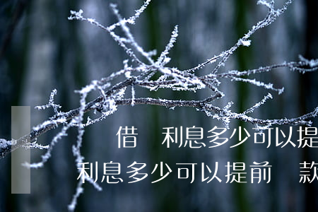 螞蟻借唄利息多少可以提前還款-螞蟻借唄利息多少可以提前還款啊