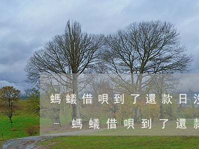 螞蟻借唄到了還款日沒(méi)錢怎么辦-螞蟻借唄到了還款日沒(méi)錢怎么辦呢