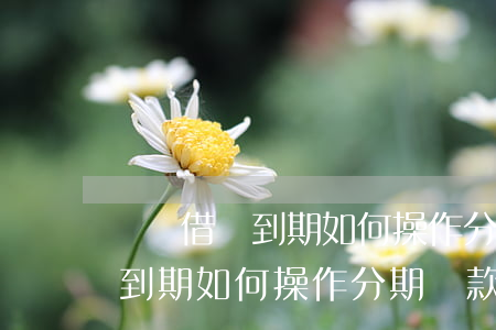 螞蟻借唄到期如何操作分期還款-螞蟻借唄到期如何操作分期還款的