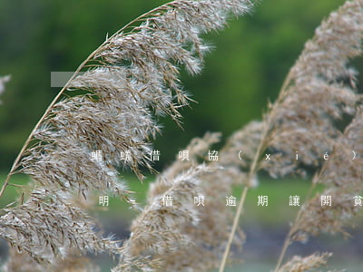 螞蟻借唄協(xié)商還款提交假貧困證明-借唄逾期讓開貧困證明
