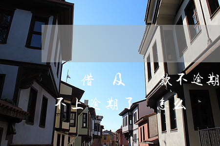 螞蟻借唄及時還款不逾期(支付寶螞蟻借唄還不上逾期了會怎么樣)