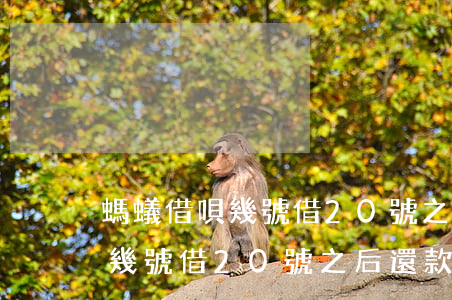 螞蟻借唄幾號借20號之后還款-螞蟻借唄幾號借20號之后還款啊