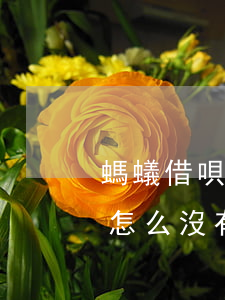 螞蟻借唄怎么沒有45天還款了-螞蟻借唄怎么沒有45天還款了呢