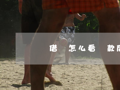 螞蟻借唄怎么看還款后借不出來-