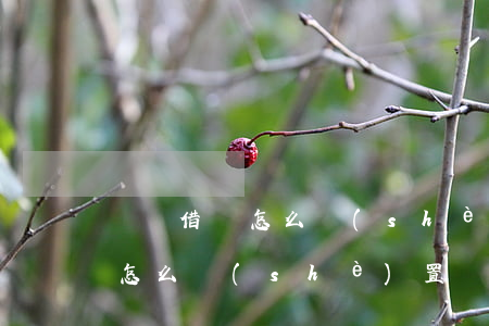 螞蟻借唄怎么設(shè)置只還本金(借唄怎么設(shè)置還款)